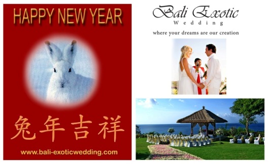 Happy Chinese New Year Rabbit Image. This 2011 Golden Rabbit year